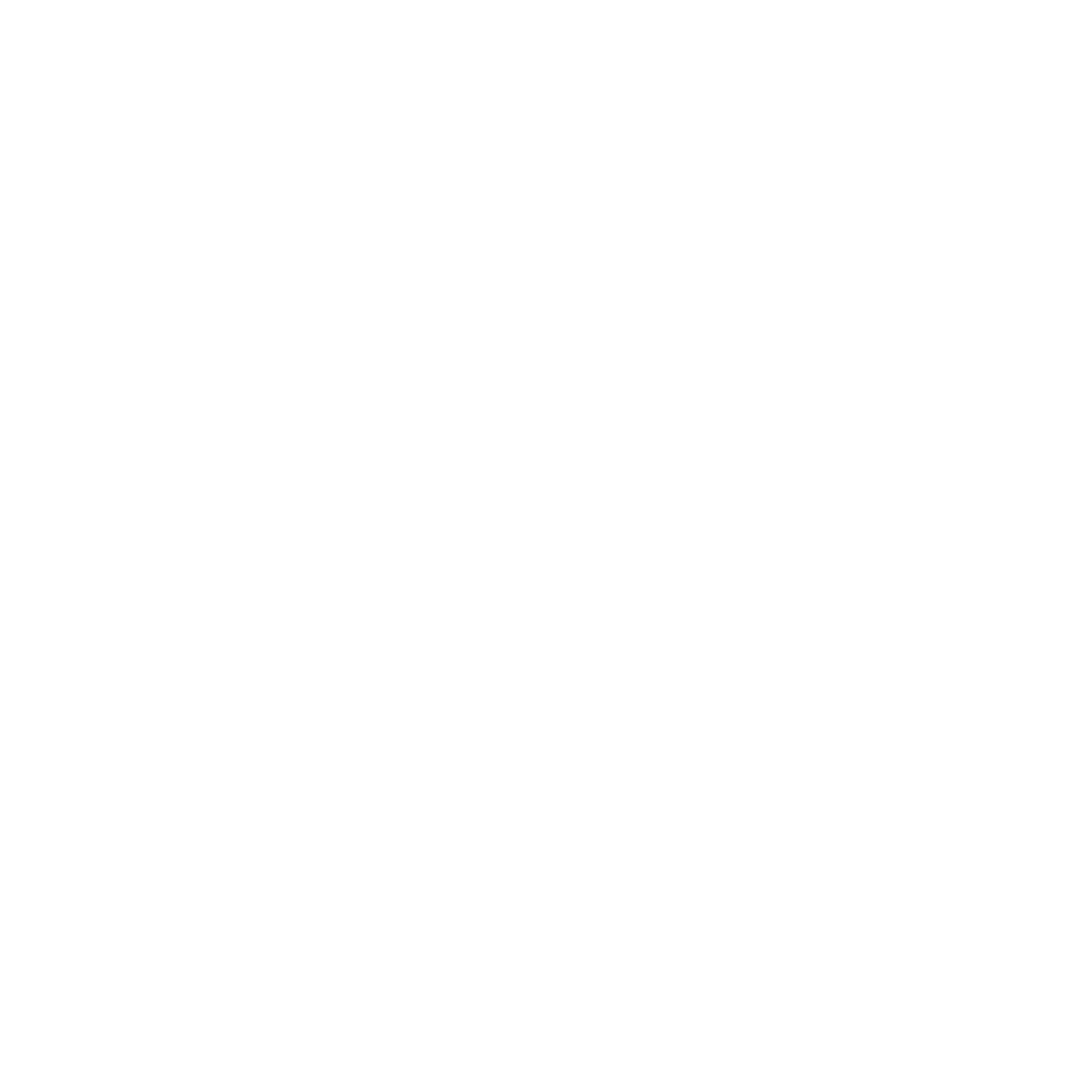 Nat20